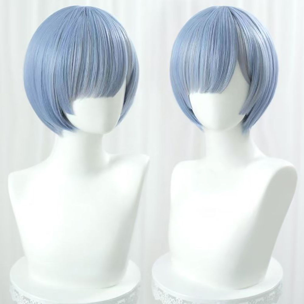 HAIRJOY 合成ヘアウィッグ Re:ゼロから始める異世界 - Wig Fiber Net のレビューと価格